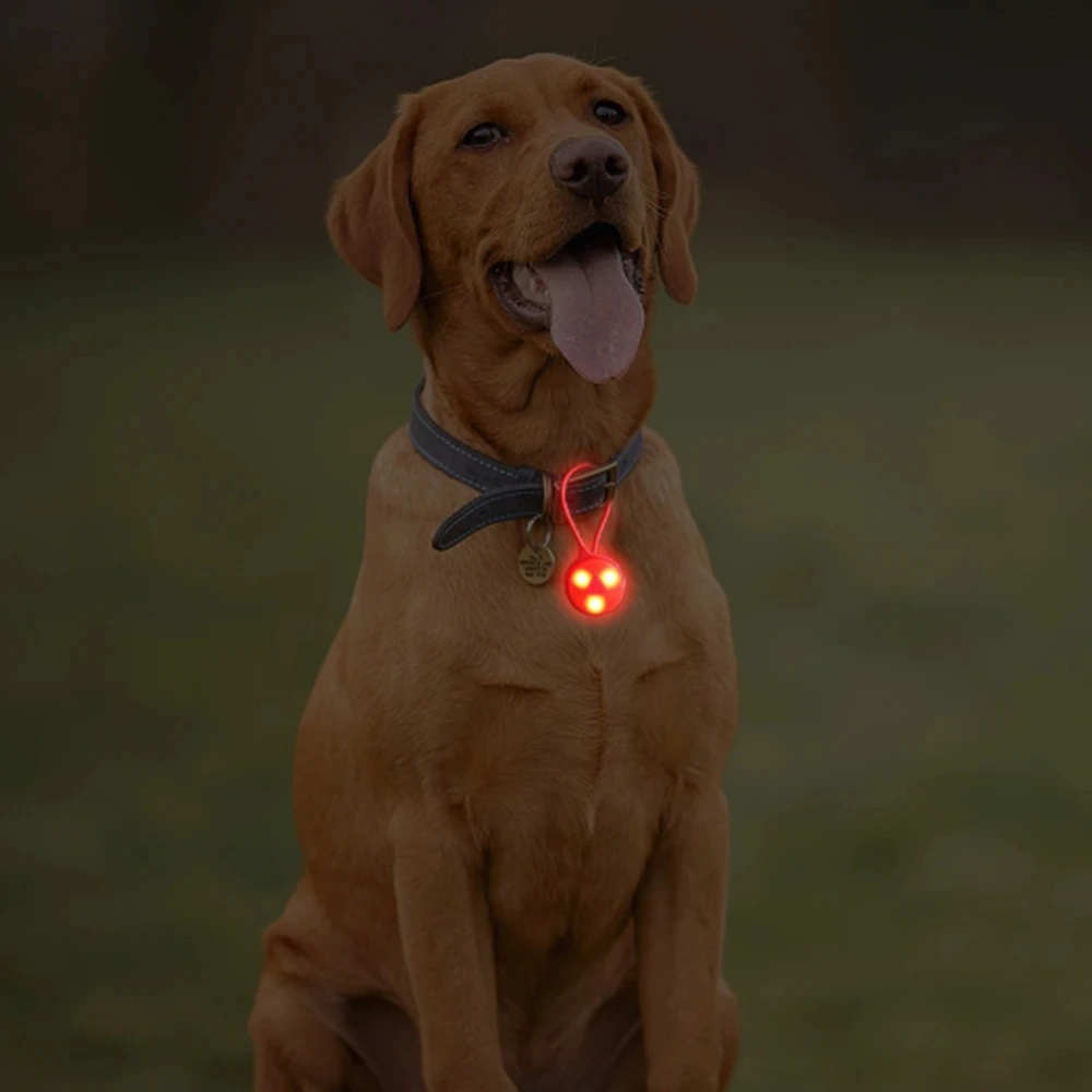 Açık Hava Sırt Çantası Işıklar - Outdoor Lighting Strip incelemesi ve fiyatı