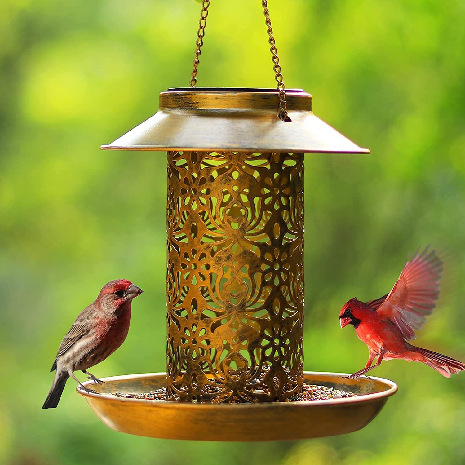Asılı Kuş Evi Metal Açık Havad - Outdoor Lighting Backyard Ideas incelemesi ve fiyatı